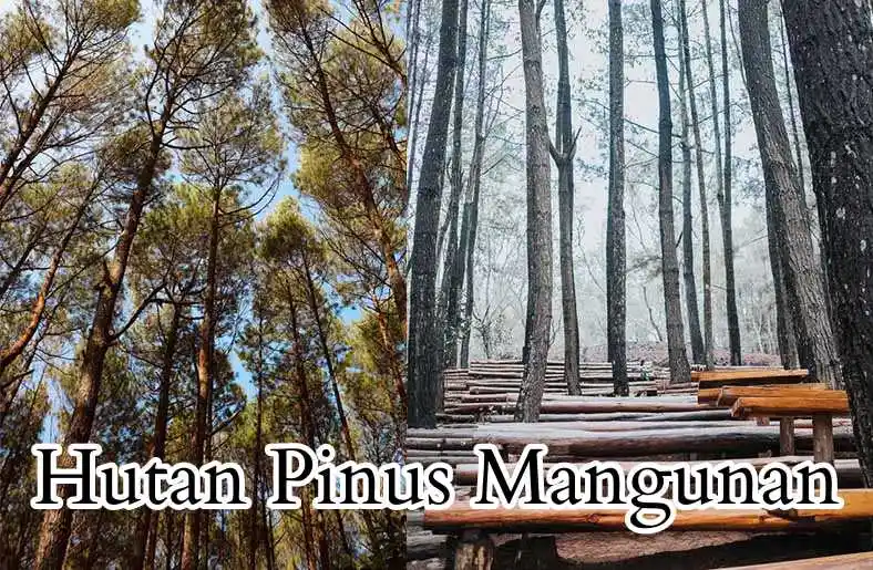 10 Tempat Wisata di Gunung Kidul Selain Pantai 10 Tempat Wisata di Gunung Kidul Selain Pantai