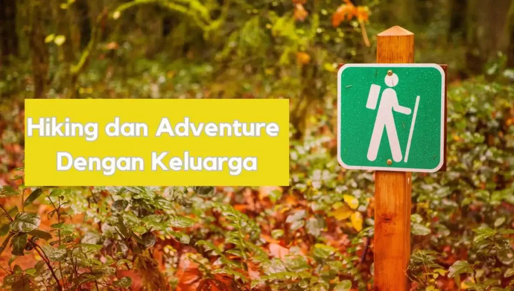 5 Ide Kegiatan Camping Keluarga yang Menyenangkan 5 Ide Kegiatan Camping Keluarga yang Menyenangkan
