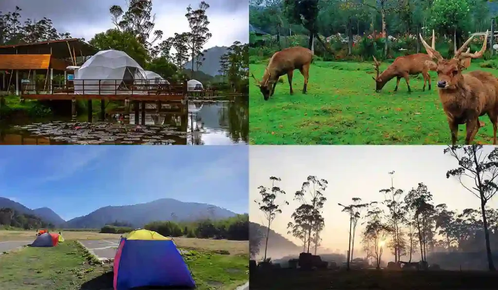 10 Tempat Yang Wajib Dikunjungi di Bandung - Mediaprofesi 10 Tempat Yang Wajib Dikunjungi di Bandung - Mediaprofesi